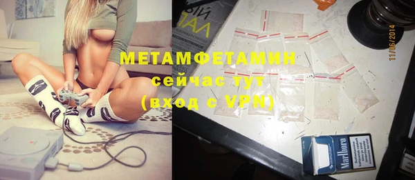 ПСИЛОЦИБИНОВЫЕ ГРИБЫ Заволжье