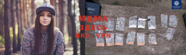ПСИЛОЦИБИНОВЫЕ ГРИБЫ Заволжье