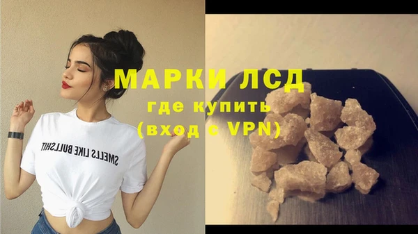 ПСИЛОЦИБИНОВЫЕ ГРИБЫ Заволжье
