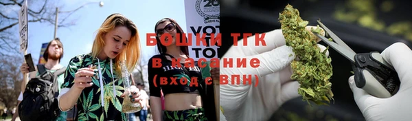 ПСИЛОЦИБИНОВЫЕ ГРИБЫ Заволжье