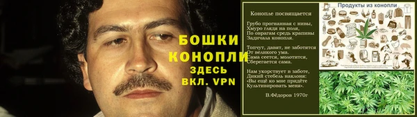 PSILOCYBIN Заволжск