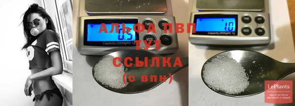 стаф Заводоуковск