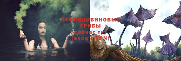 PSILOCYBIN Заволжск