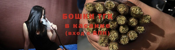 ПСИЛОЦИБИНОВЫЕ ГРИБЫ Заволжье