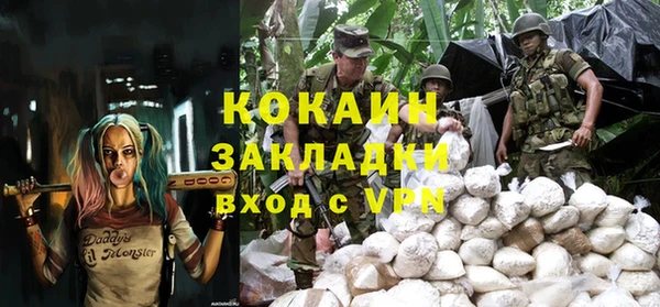 стаф Заводоуковск