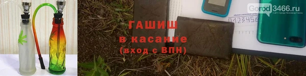 стаф Заводоуковск