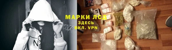 ПСИЛОЦИБИНОВЫЕ ГРИБЫ Заволжье