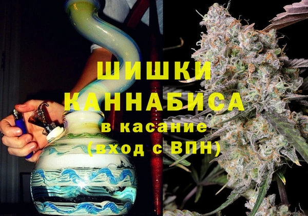 ПСИЛОЦИБИНОВЫЕ ГРИБЫ Заволжье