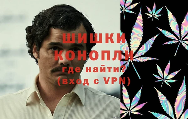 стаф Заводоуковск