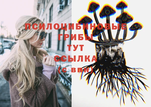 стаф Заводоуковск