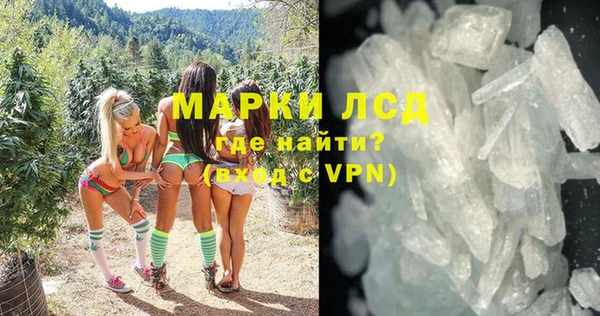 ПСИЛОЦИБИНОВЫЕ ГРИБЫ Заволжье