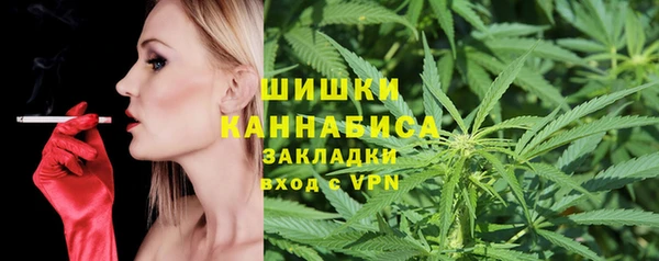 стаф Заводоуковск