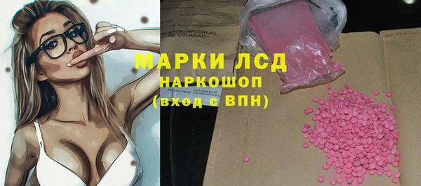 стаф Заводоуковск