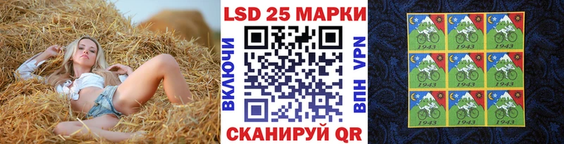 Купить где  Ленск  Марки N-bome 1500мкг 